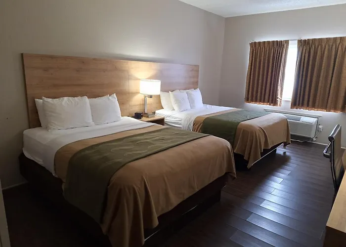 Edn Hotel